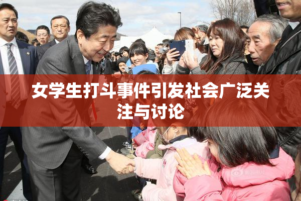 女学生打斗事件引发社会广泛关注与讨论