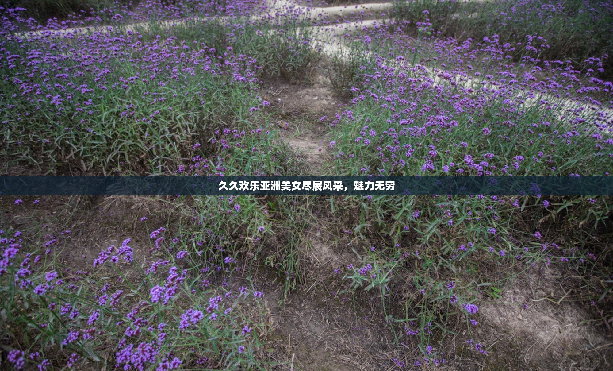 久久欢乐亚洲美女尽展风采，魅力无穷