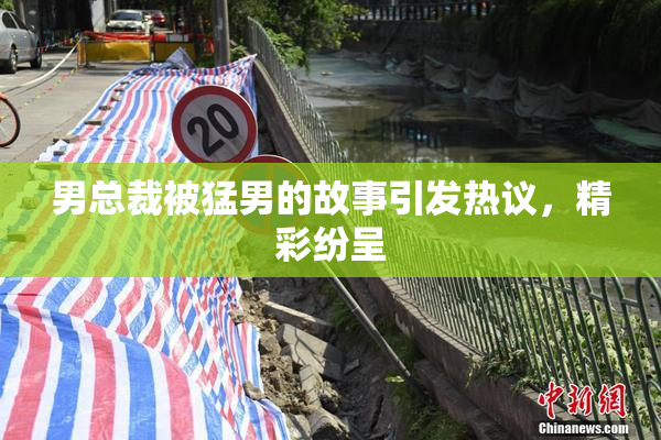 男总裁被猛男的故事引发热议，精彩纷呈