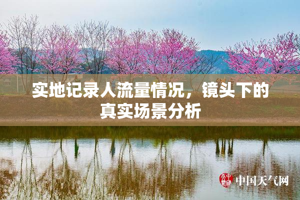 实地记录人流量情况，镜头下的真实场景分析