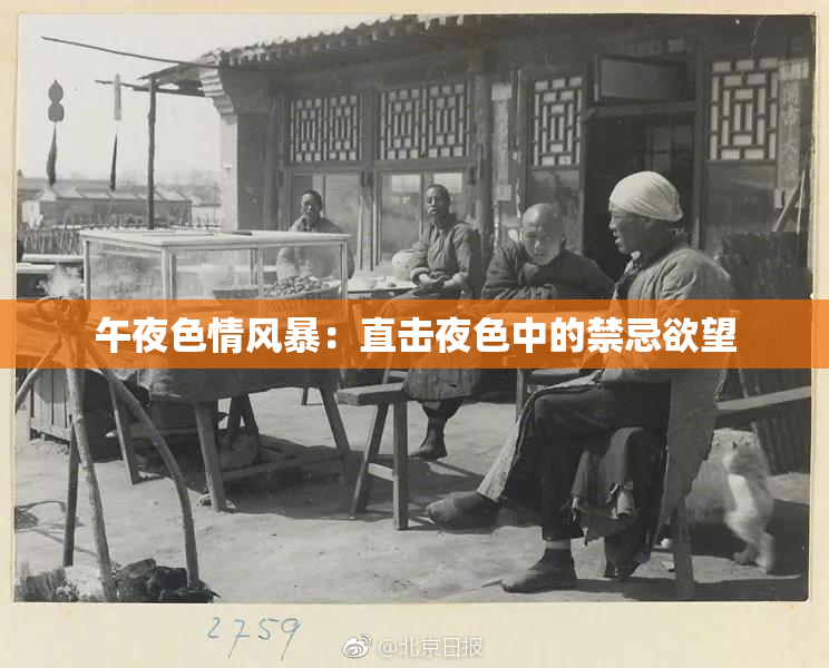 午夜色情风暴：直击夜色中的禁忌欲望