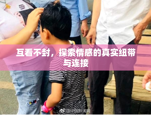 互看不封，探索情感的真实纽带与连接