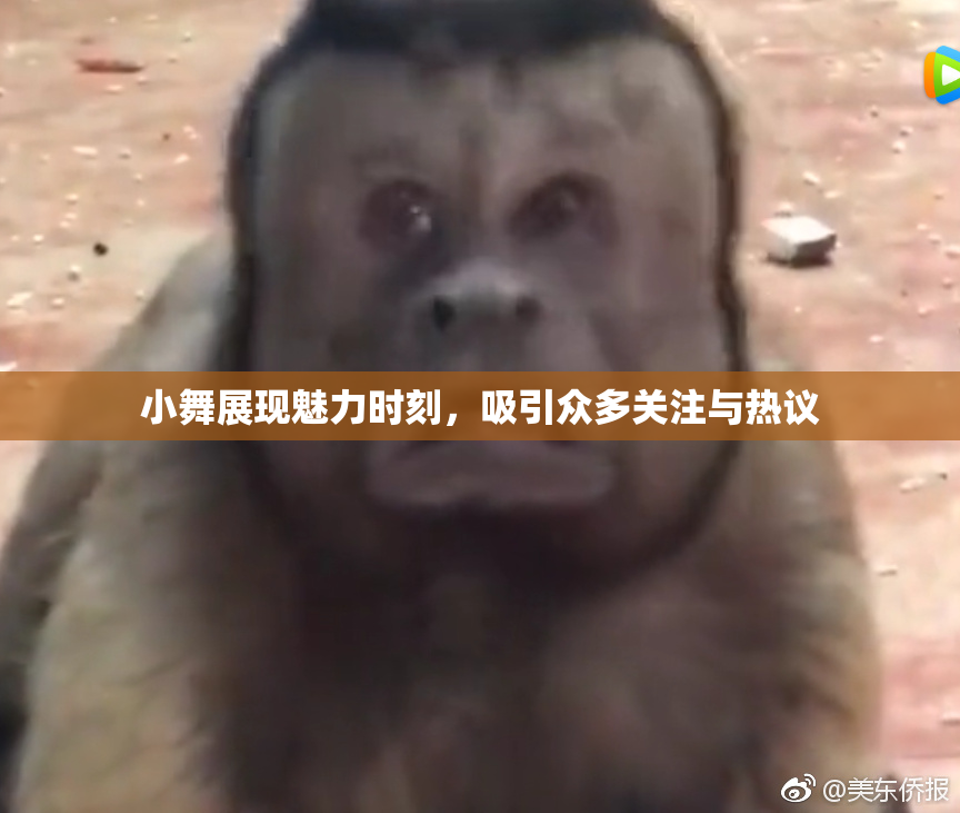 小舞展现魅力时刻，吸引众多关注与热议