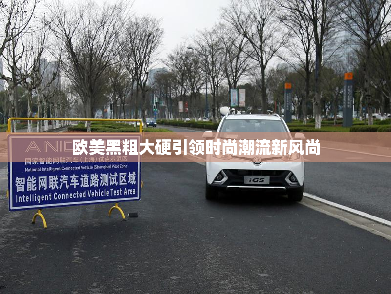欧美黑粗大硬引领时尚潮流新风尚