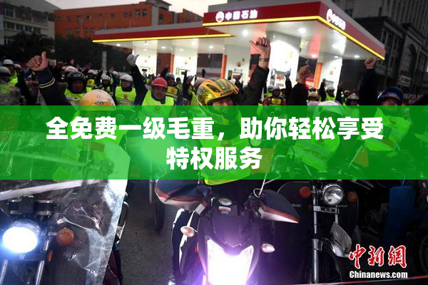 全免费一级毛重，助你轻松享受特权服务