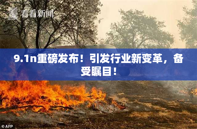 9.1n重磅发布！引发行业新变革，备受瞩目！