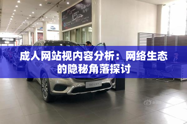 成人网站视内容分析：网络生态的隐秘角落探讨