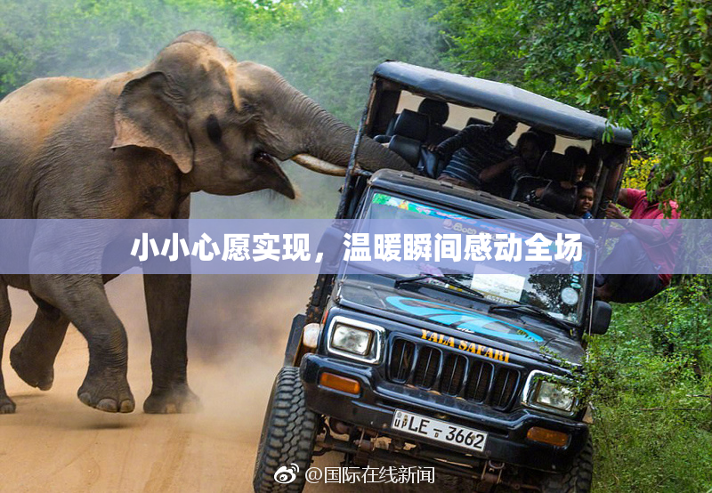 小小心愿实现，温暖瞬间感动全场