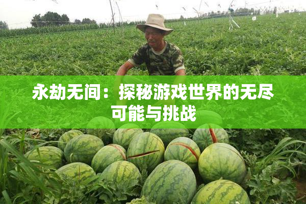 永劫无间：探秘游戏世界的无尽可能与挑战