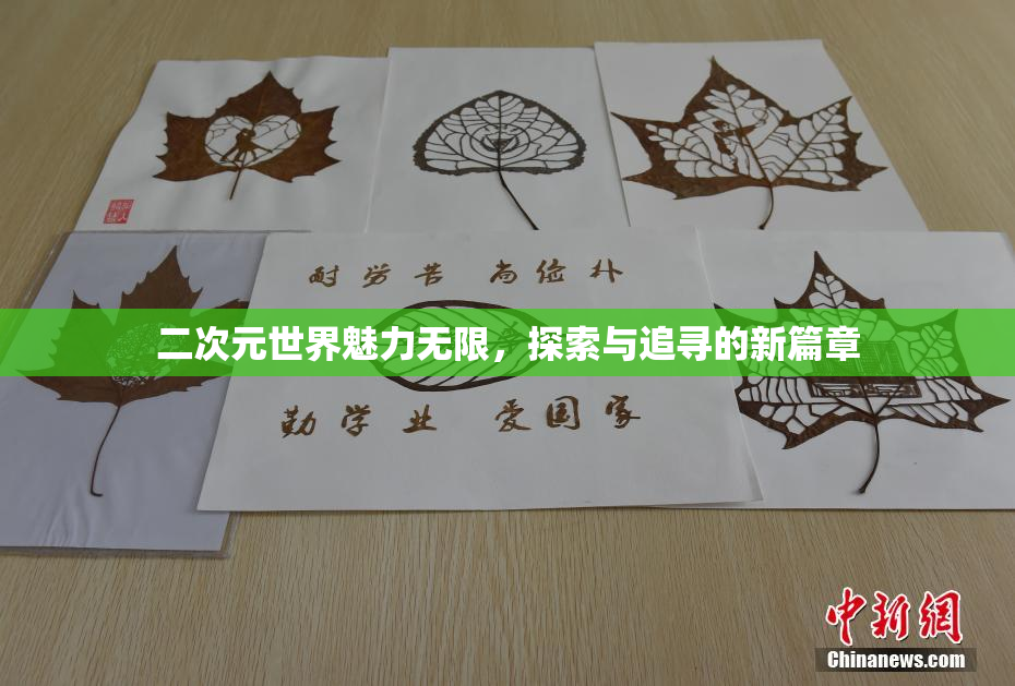 二次元世界魅力无限，探索与追寻的新篇章
