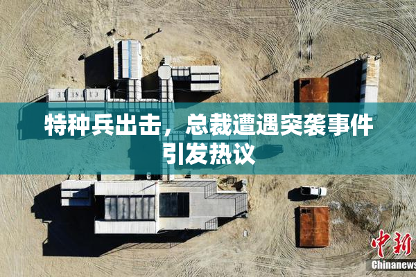 特种兵出击，总裁遭遇突袭事件引发热议