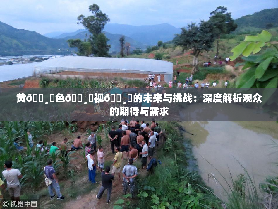 黄🌸‌色🌸‌视🌸‌的未来与挑战：深度解析观众的期待与需求