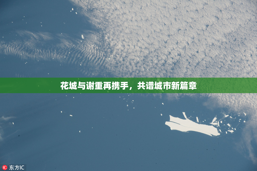 花城与谢重再携手，共谱城市新篇章