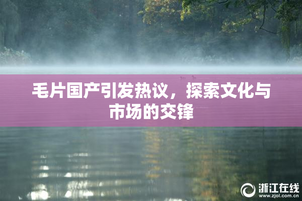 毛片国产引发热议，探索文化与市场的交锋