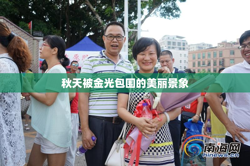 秋天被金光包围的美丽景象