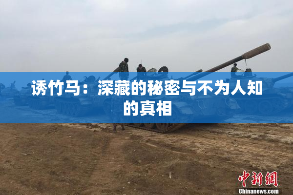 诱竹马：深藏的秘密与不为人知的真相