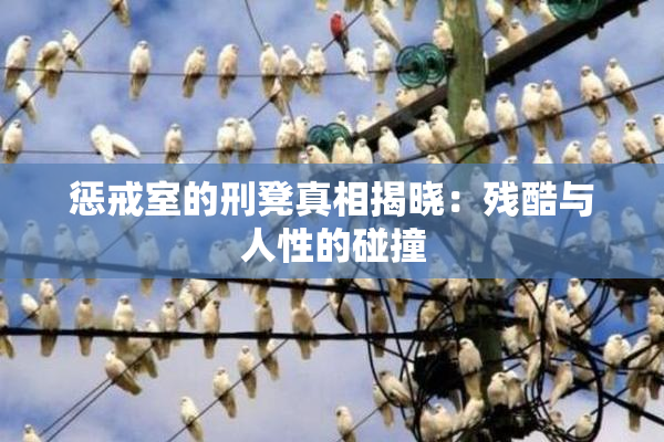 惩戒室的刑凳真相揭晓：残酷与人性的碰撞