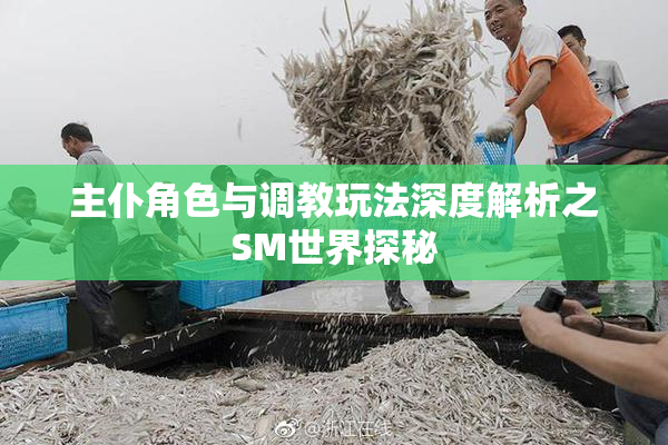 主仆角色与调教玩法深度解析之SM世界探秘