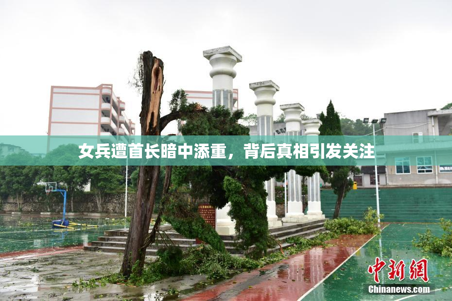 女兵遭首长暗中添重，背后真相引发关注