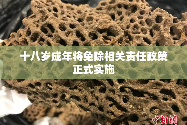 十八岁成年将免除相关责任政策正式实施