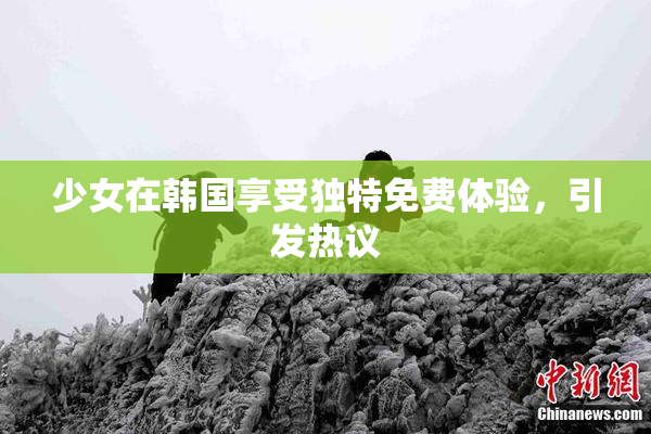 少女在韩国享受独特免费体验，引发热议