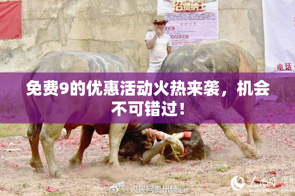 免费9的优惠活动火热来袭，机会不可错过！