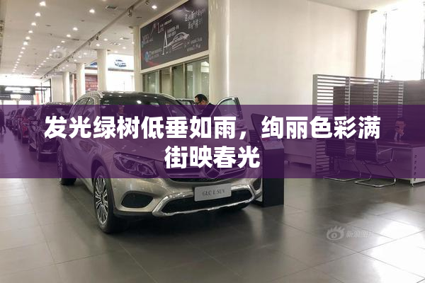 发光绿树低垂如雨，绚丽色彩满街映春光