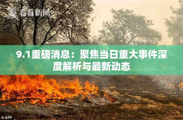 9.1重磅消息：聚焦当日重大事件深度解析与最新动态