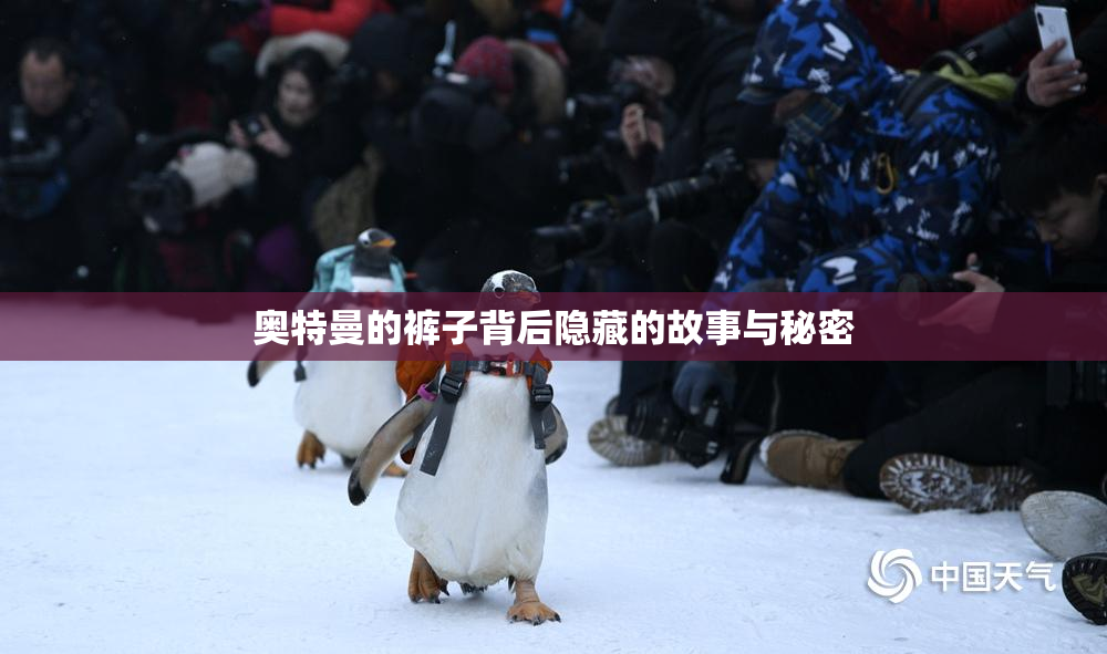 奥特曼的裤子背后隐藏的故事与秘密
