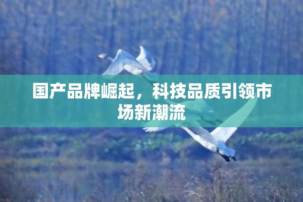 国产品牌崛起，科技品质引领市场新潮流