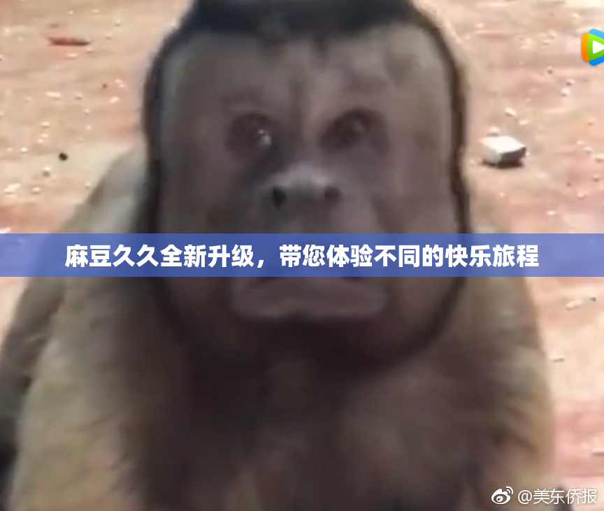 麻豆久久全新升级，带您体验不同的快乐旅程