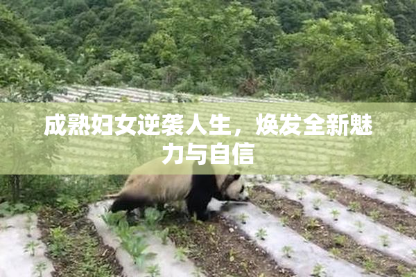 成熟妇女逆袭人生，焕发全新魅力与自信