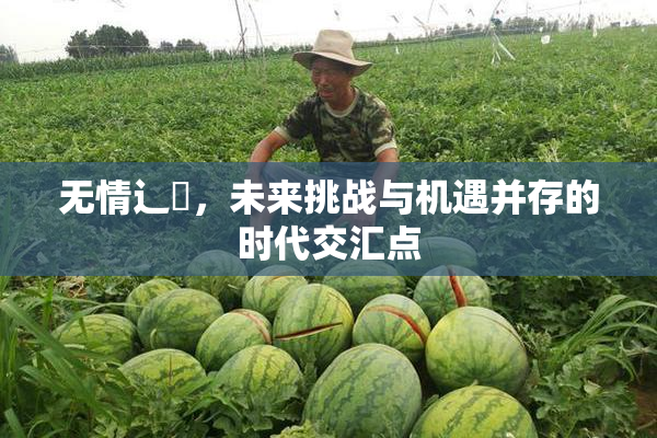 无情辶喿，未来挑战与机遇并存的时代交汇点
