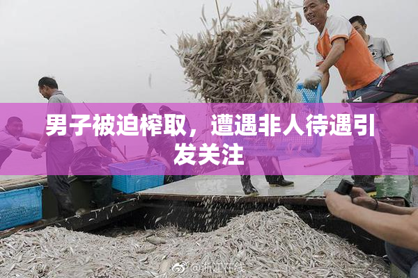 男子被迫榨取，遭遇非人待遇引发关注