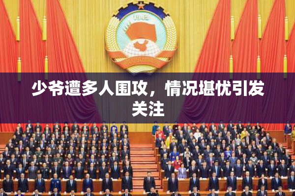 少爷遭多人围攻，情况堪忧引发关注