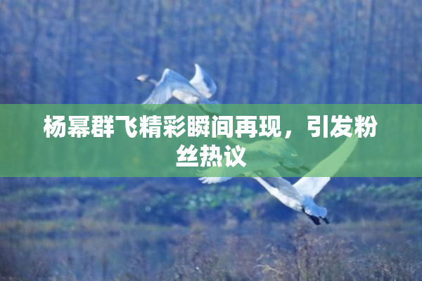 杨幂群飞精彩瞬间再现，引发粉丝热议