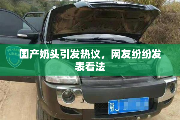 国产奶头引发热议，网友纷纷发表看法