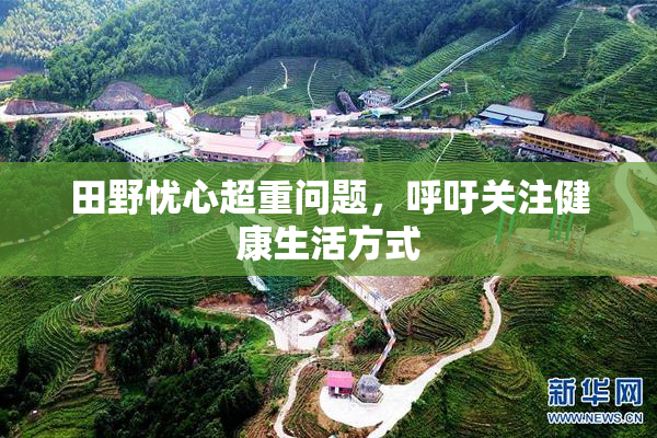 田野忧心超重问题，呼吁关注健康生活方式