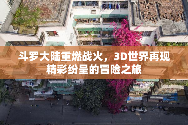 斗罗大陆重燃战火，3D世界再现精彩纷呈的冒险之旅