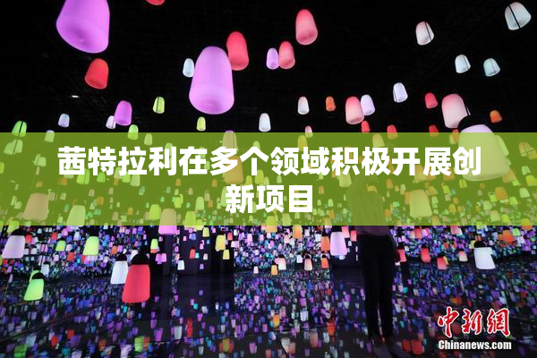 茜特拉利在多个领域积极开展创新项目