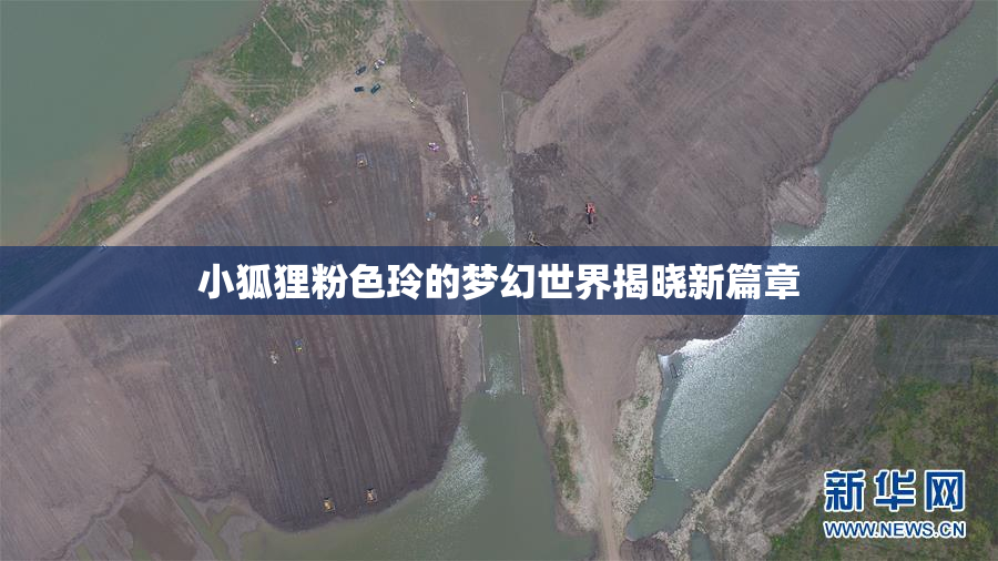 小狐狸粉色玲的梦幻世界揭晓新篇章