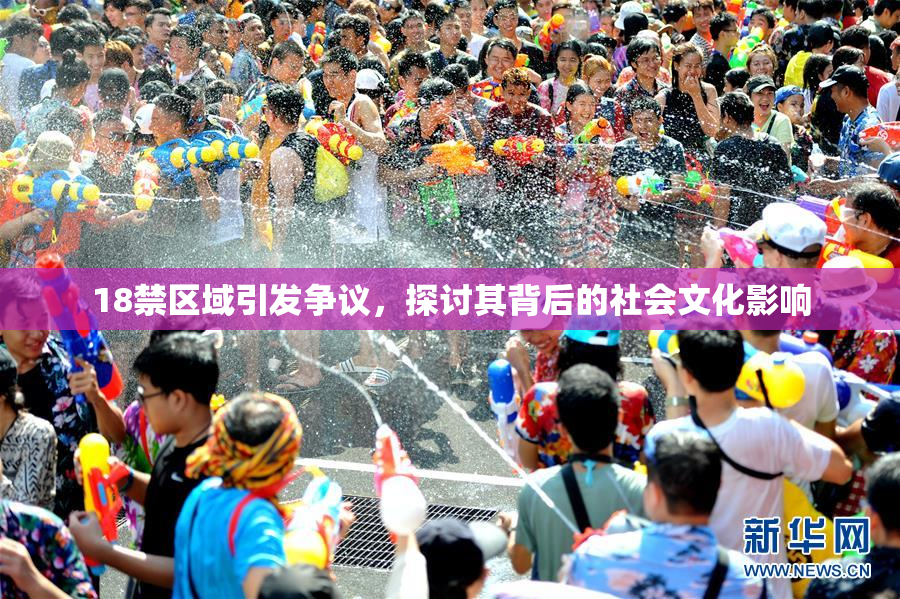 18禁区域引发争议，探讨其背后的社会文化影响