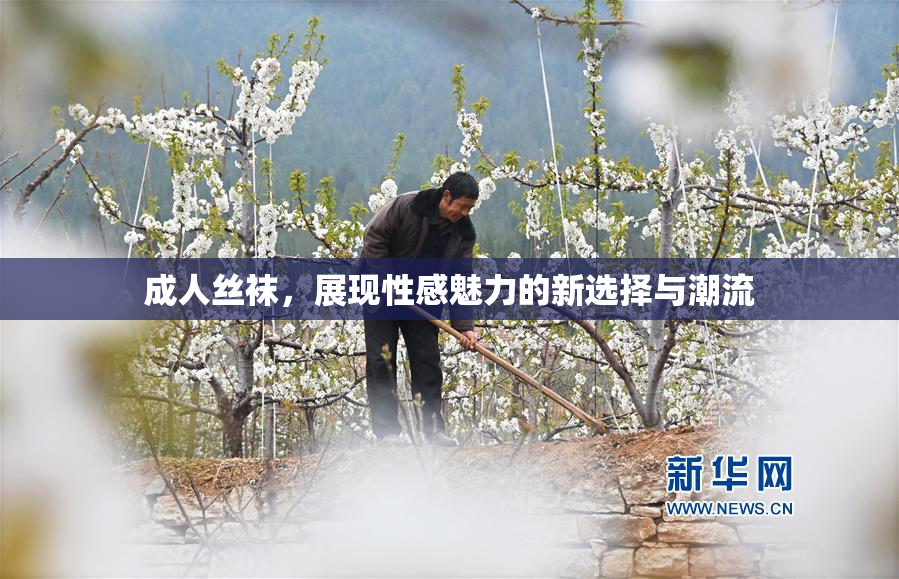 成人丝袜，展现性感魅力的新选择与潮流