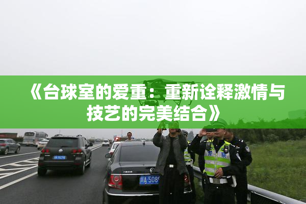《台球室的爱重：重新诠释激情与技艺的完美结合》