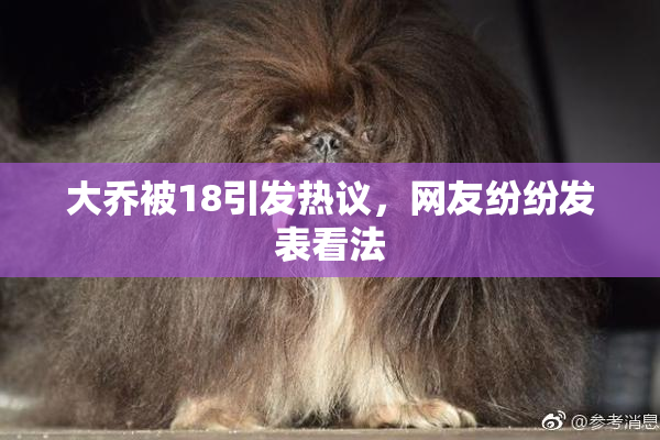 大乔被18引发热议，网友纷纷发表看法