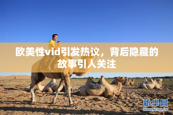 欧美性vid引发热议，背后隐藏的故事引人关注