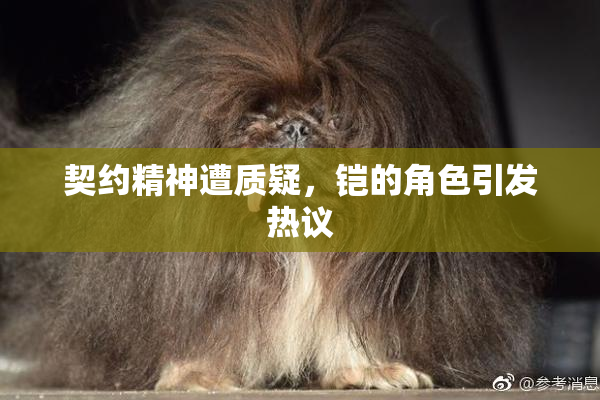 契约精神遭质疑，铠的角色引发热议