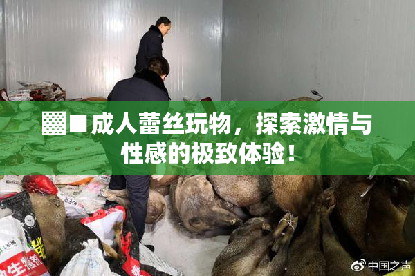▓■成人蕾丝玩物，探索激情与性感的极致体验！