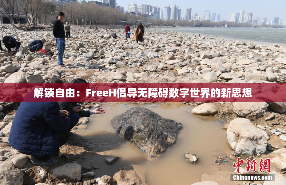 解锁自由：FreeH倡导无障碍数字世界的新思想