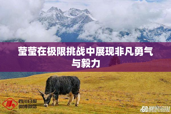 莹莹在极限挑战中展现非凡勇气与毅力